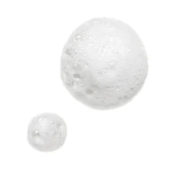 Nutritious 2-in-1 Foam Cleanser