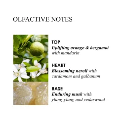Orange & Bergamot Body Lotion