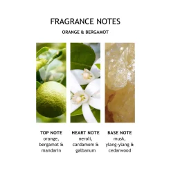 Orange & Bergamot Hand Lotion