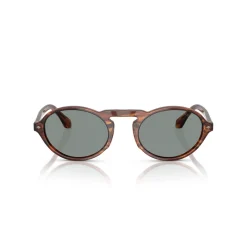 Oval Sunglasses AR8219U