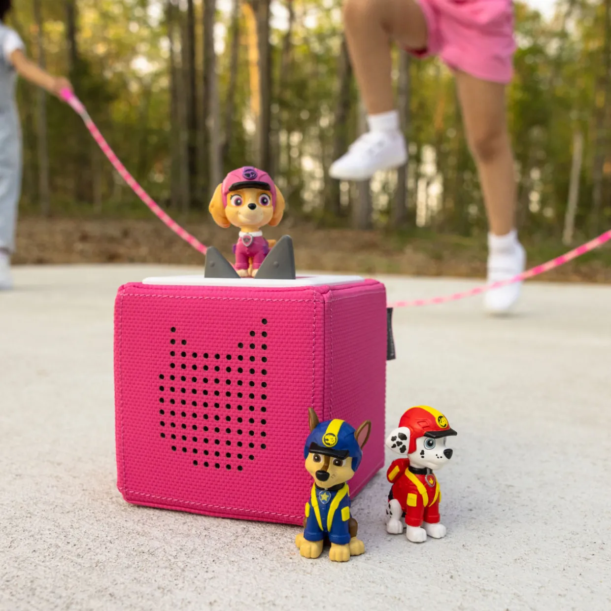 Paw Patrol Skye 2 Audio Play Character