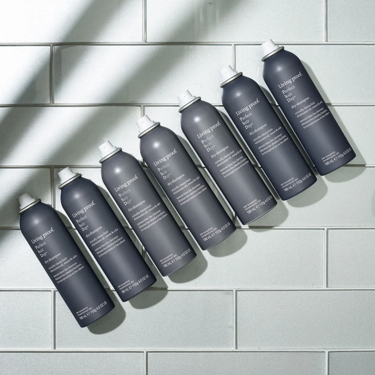 Perfect Hair Day Dry Shampoo