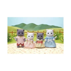 Persian Cat Family