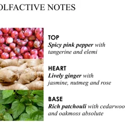 Pink Pepperpod Body Wash