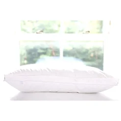 Plump Down Surround Pillow