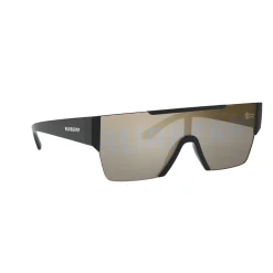 Rectangle Sunglasses BE4291