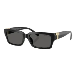 Rectangle Sunglasses TF4226U