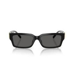 Rectangle Sunglasses TF4226U