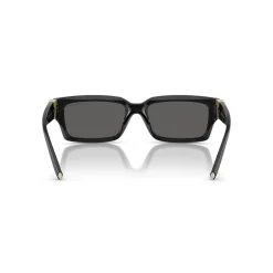 Rectangle Sunglasses TF4226U