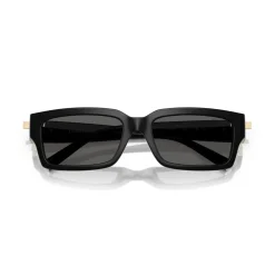 Rectangle Sunglasses TF4226U