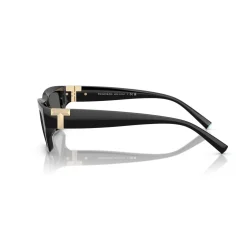 Rectangle Sunglasses TF4226U