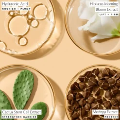 Revitalizing Supreme+ Youth Power Soft Creme Moisturiser 50ml