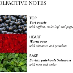 Rose Dunes Bath & Shower Gel