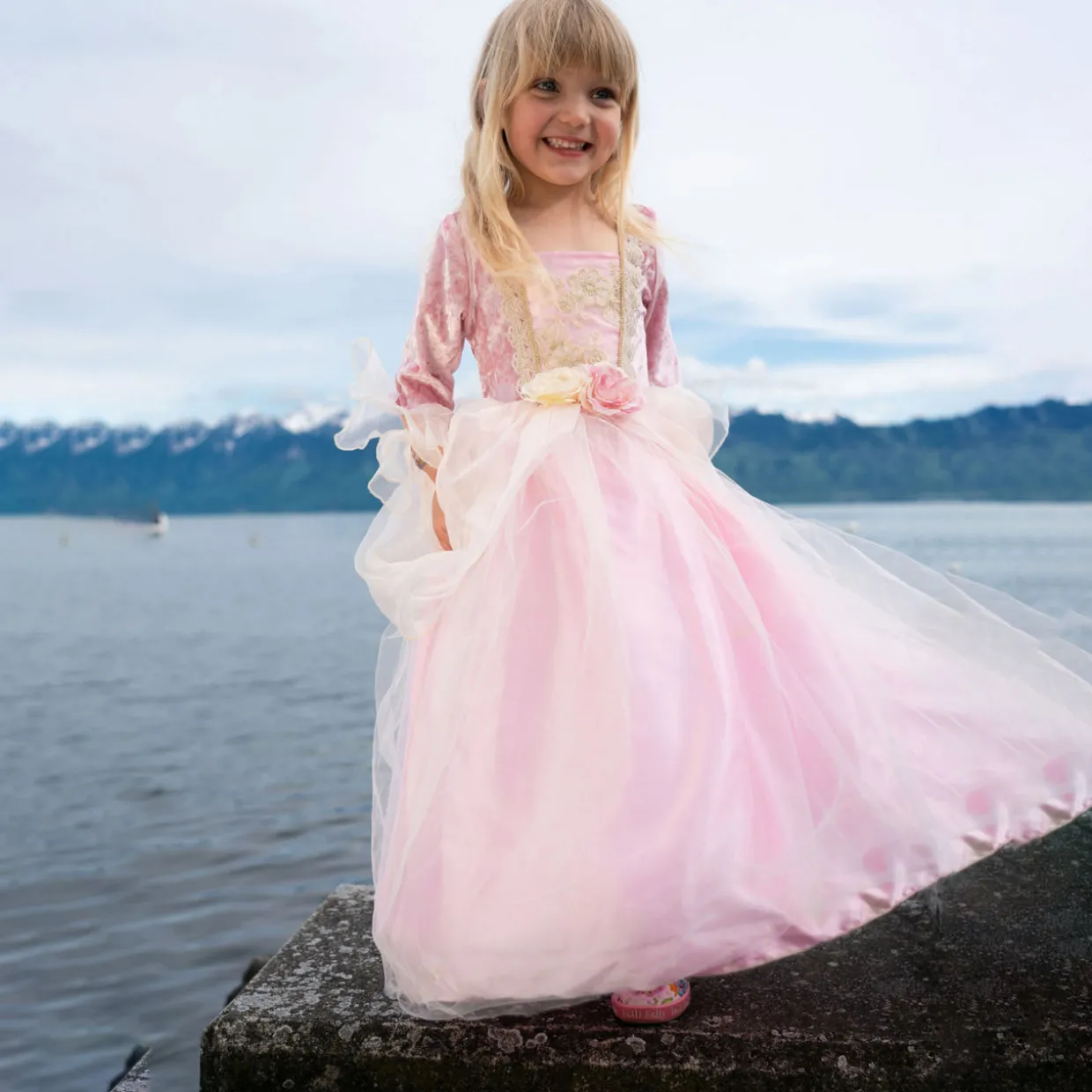 Rose Princess Dress