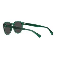 Round Sunglasses PH4192