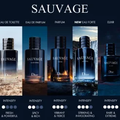Sauvage Eau de Toilette