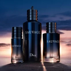 Sauvage Eau de Toilette