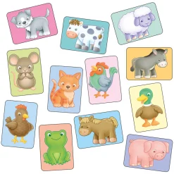 See & Sound Giant Flashcards
