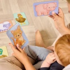 See & Sound Giant Flashcards