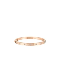Set In Stone Hinged Bangle
