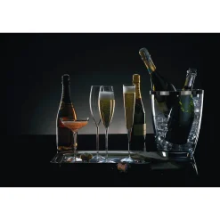 Set of Two Elegance Champagne Belle Coupe