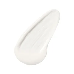 Shape & Set Brow Duo
