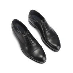 Sloane Oxfords