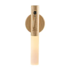 Smart Baton Light