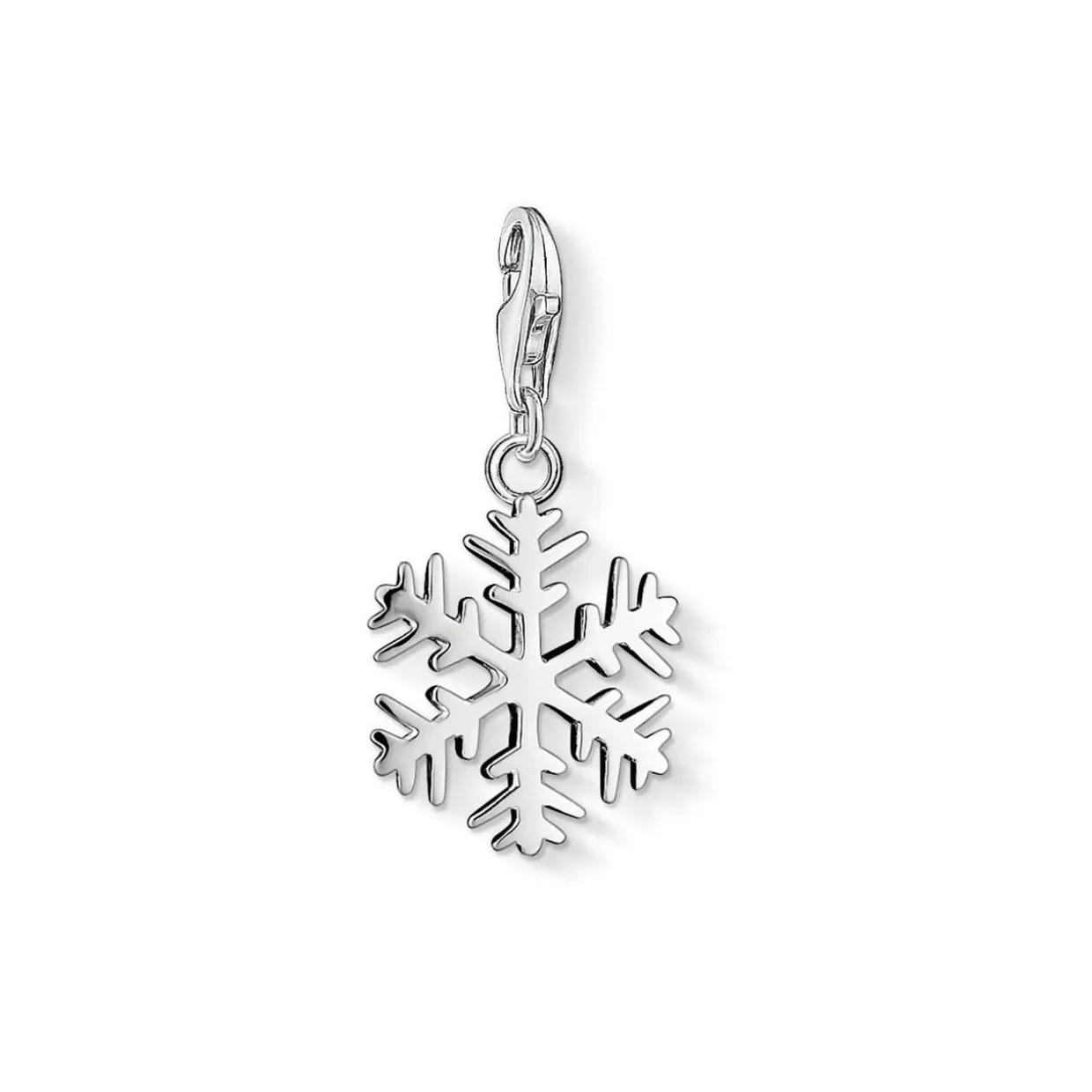 Snowflake Charm