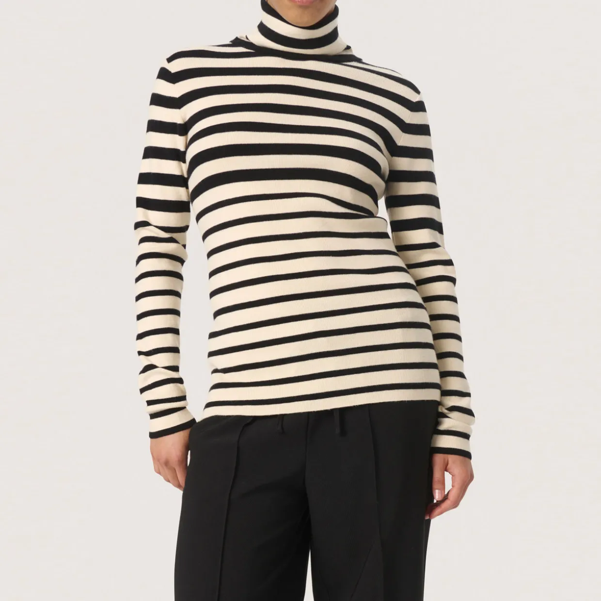 Spina Striped Turtleneck Sweater
