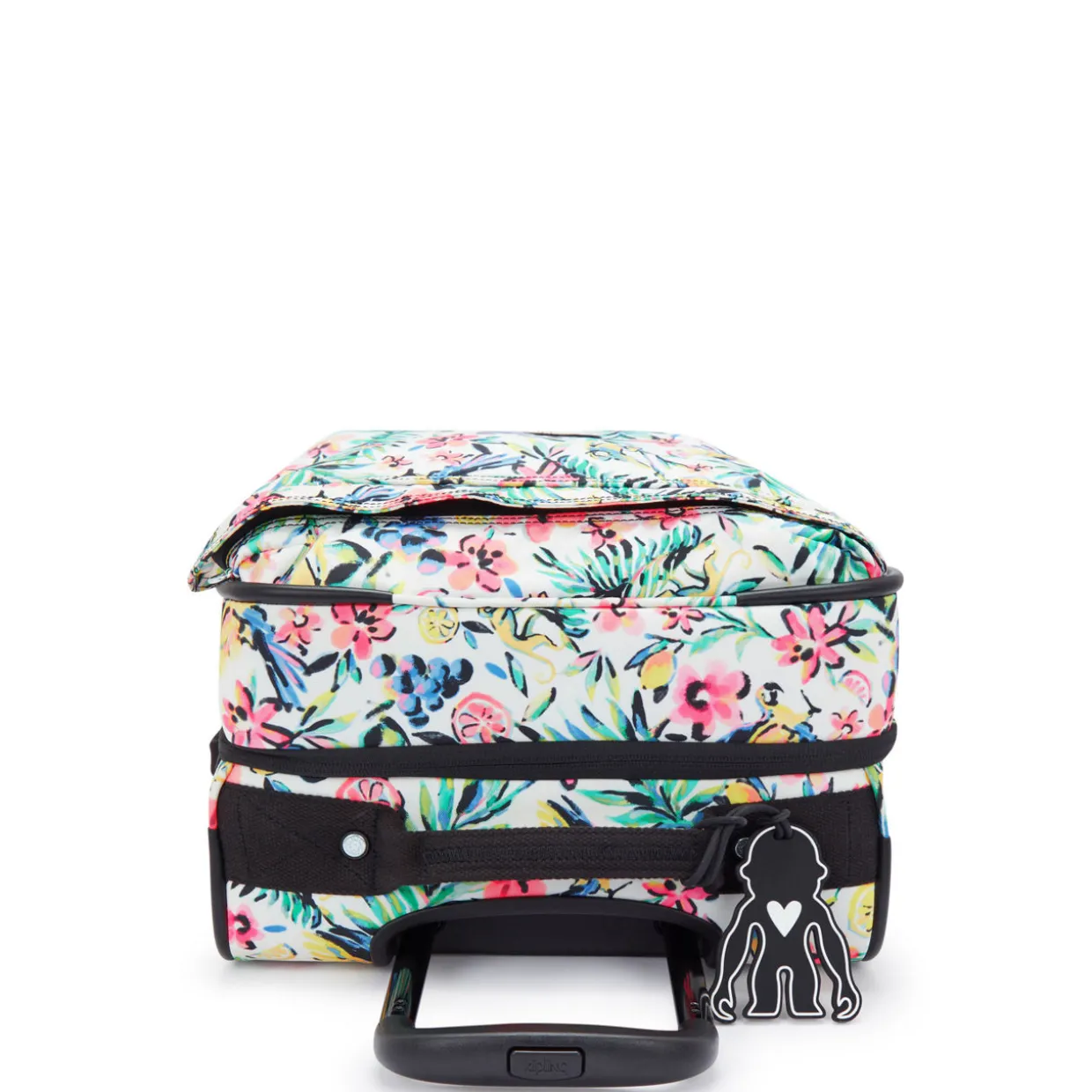 Spontaneous Small Cabin Luggage