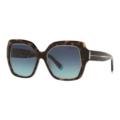 Square Sunglasses TF4183