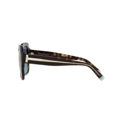 Square Sunglasses TF4183