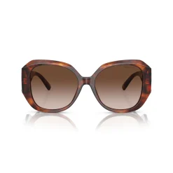 Square Sunglasses TF4207B