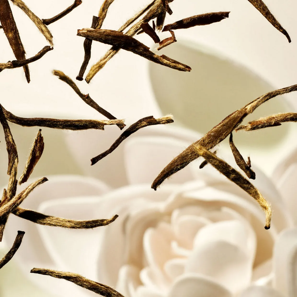 The Ritual of Karma Overnight Body Mask