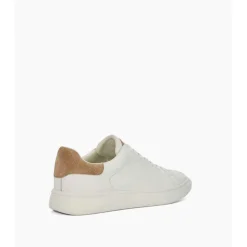 Toyon Logo Trainers