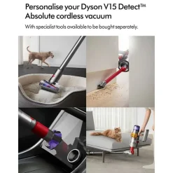 V15 Detect Absolute
