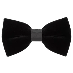 Velvet Bow Tie