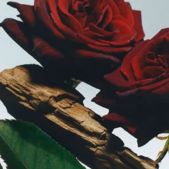 Velvet Rose & Oud Body & Hand Wash
