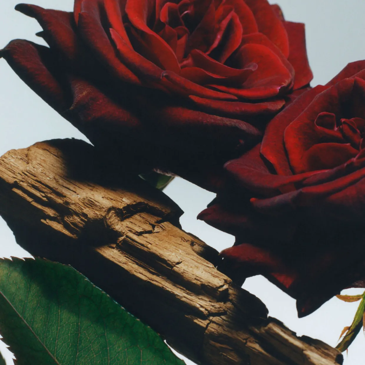 Velvet Rose & Oud Diffuser