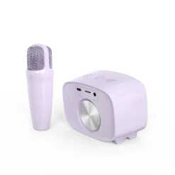 Voice 2 Speaker
