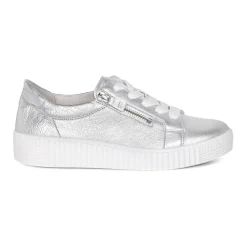 Wisdom Platform Trainers