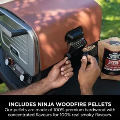 Woodfire Electric Outdoor Oven