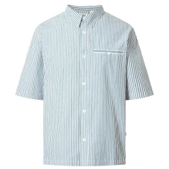 Zandt Pinstripe Casual Shirt